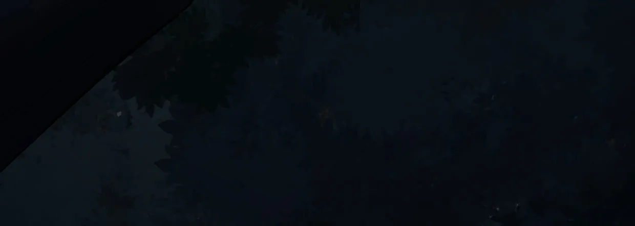 白指猞猁 第203页