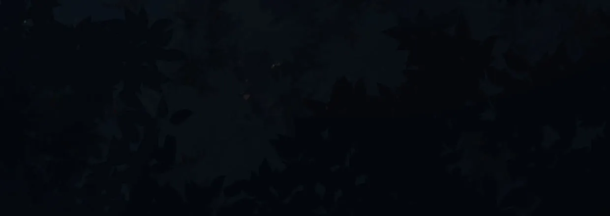 白指猞猁 第205页