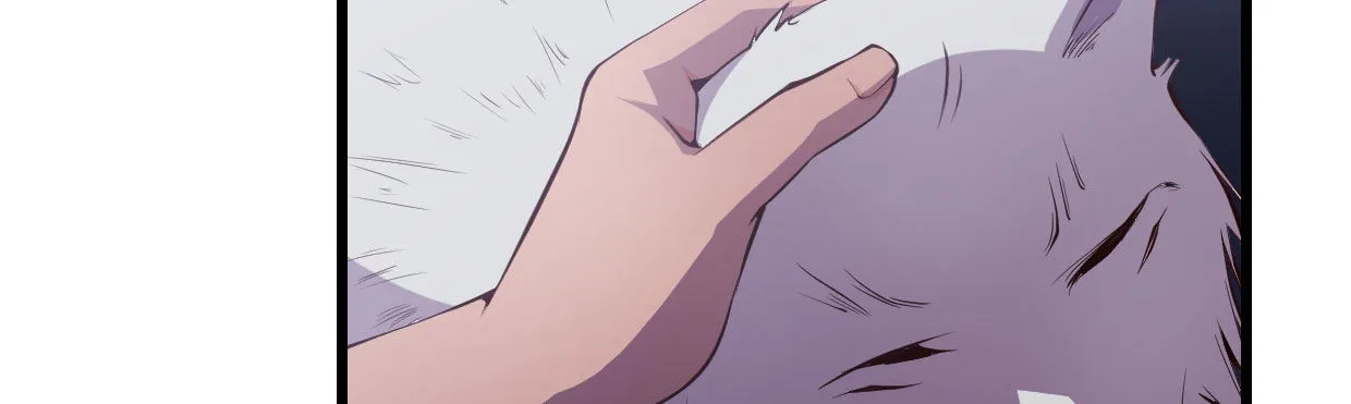 白指猞猁 第211页