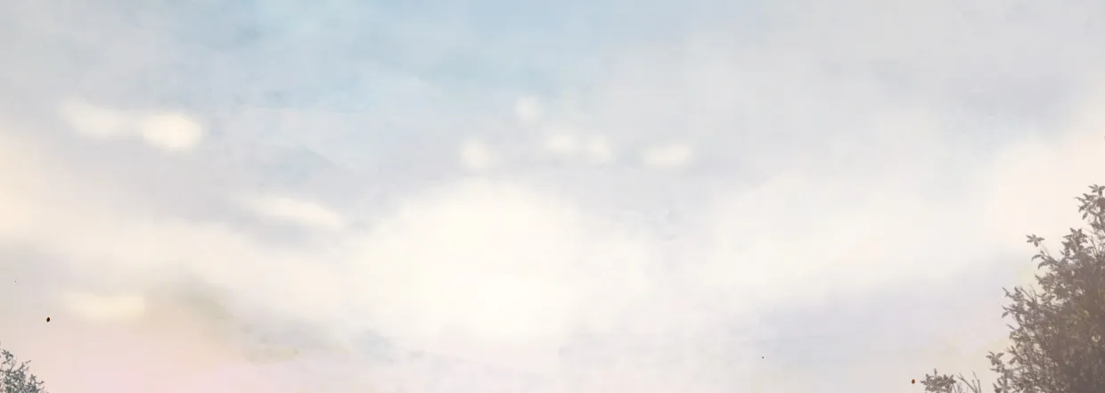 行，不行 第155页