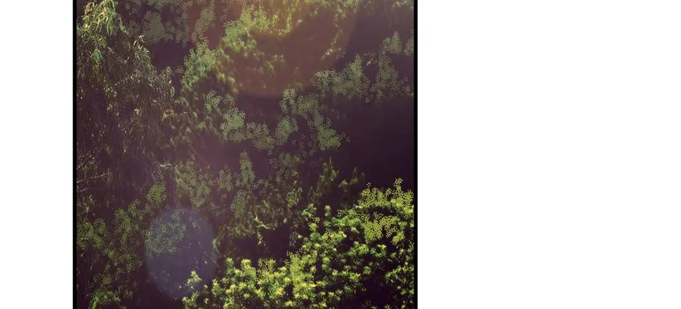 兄长之礼 第7页