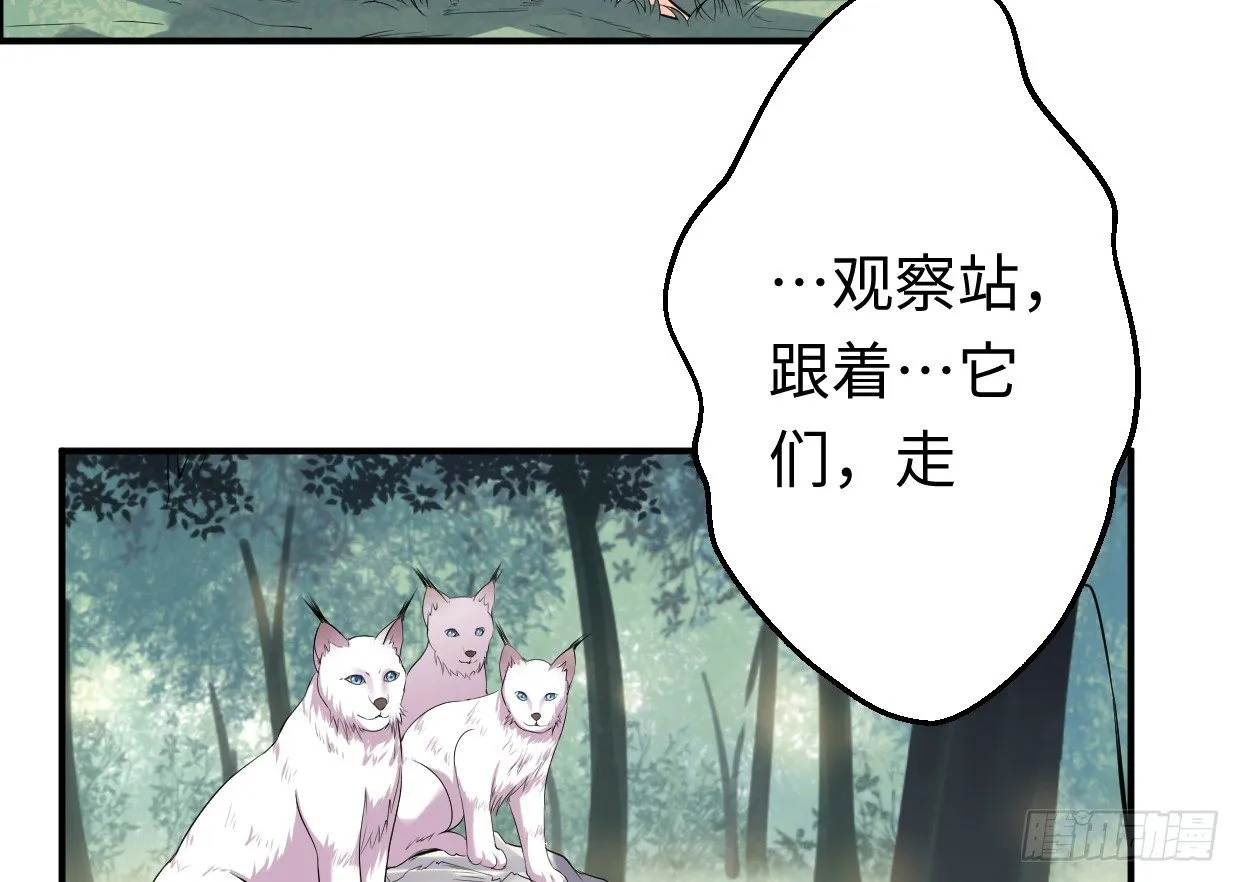兄长之礼 第231页