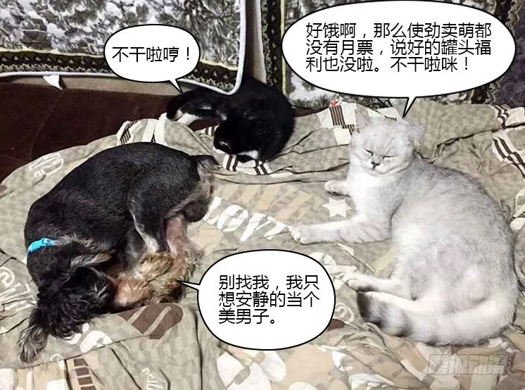46.弱者的痛苦 第12页
