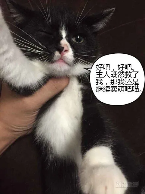 46.弱者的痛苦 第14页