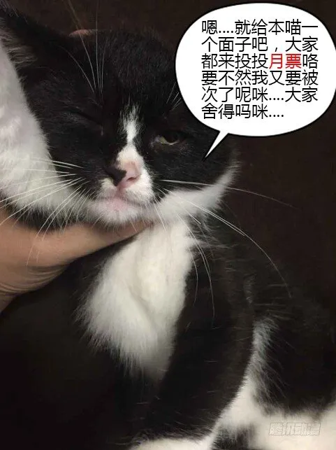46.弱者的痛苦 第15页