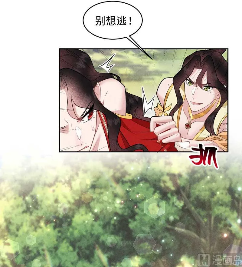 外援 第31页