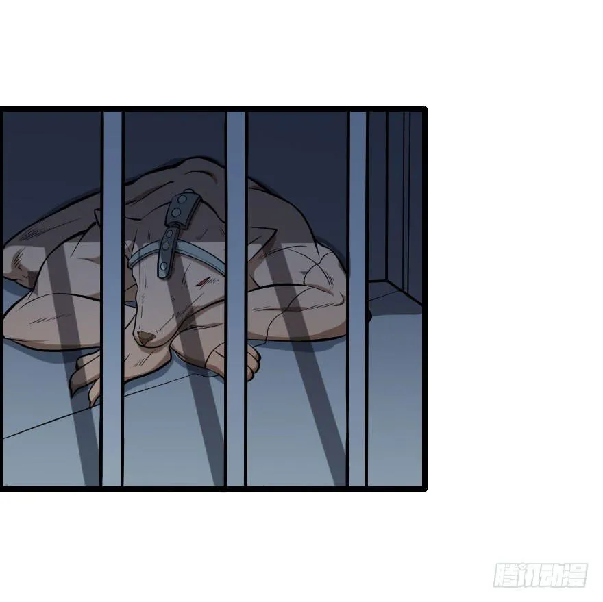 027步入险境（中） 第19页