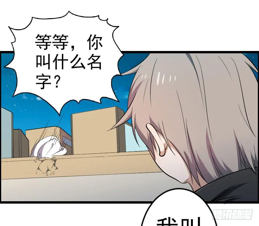048她的身份 第37页