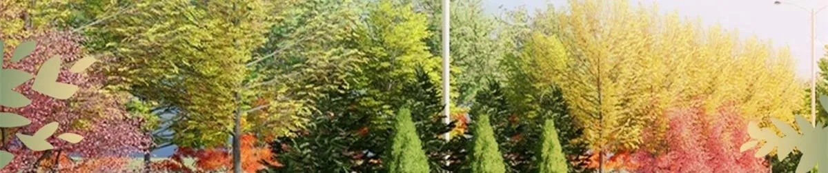 第286话 公开 第40页