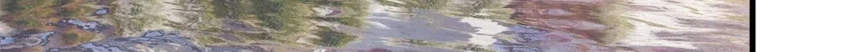 第244话 男人的交易 第49页