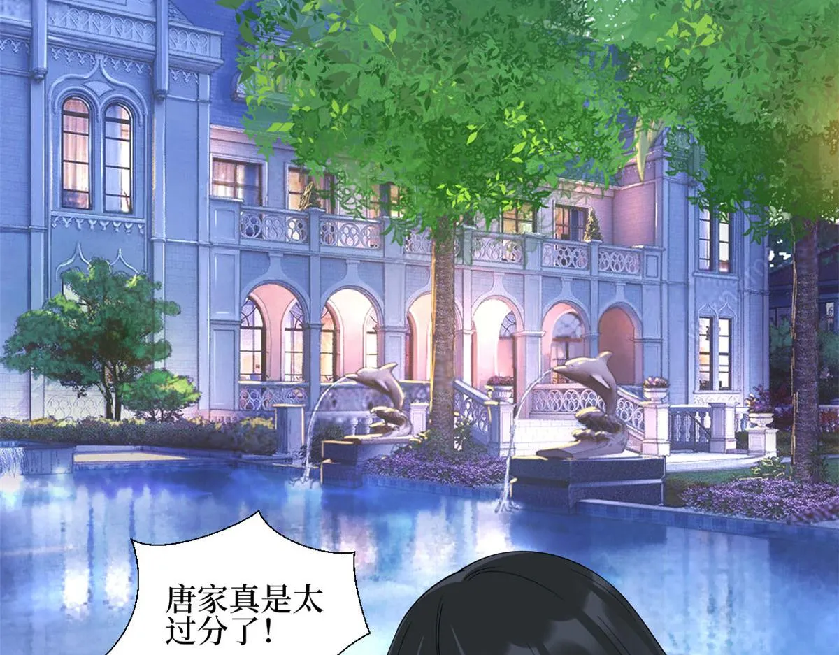 第233话 起诉唐家 第12页