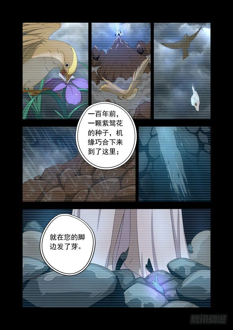 紫鸳 第5页