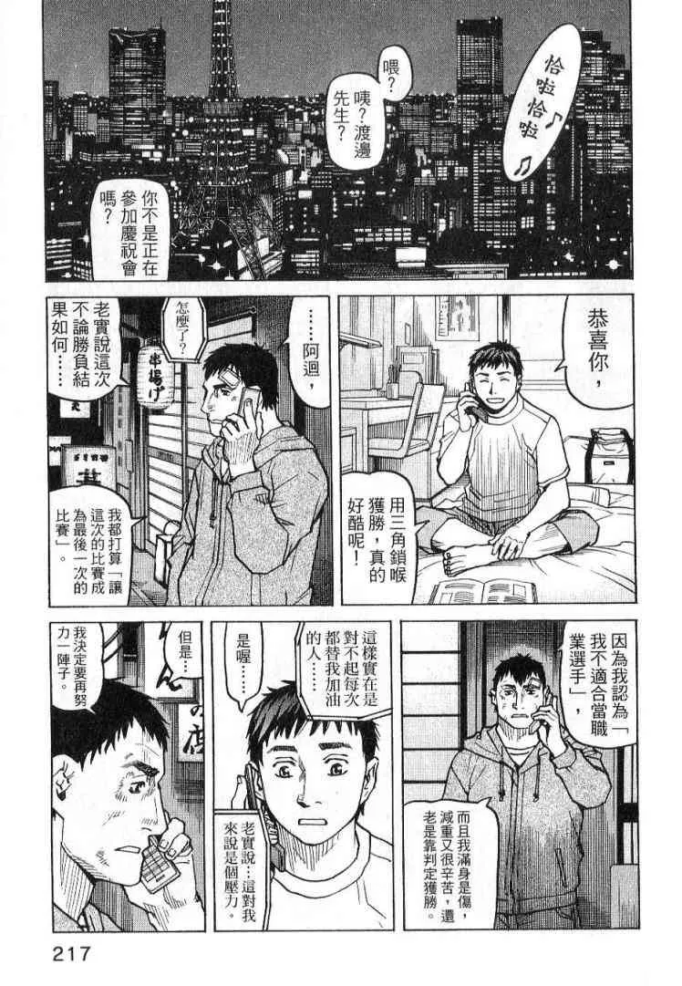第03卷 第217页