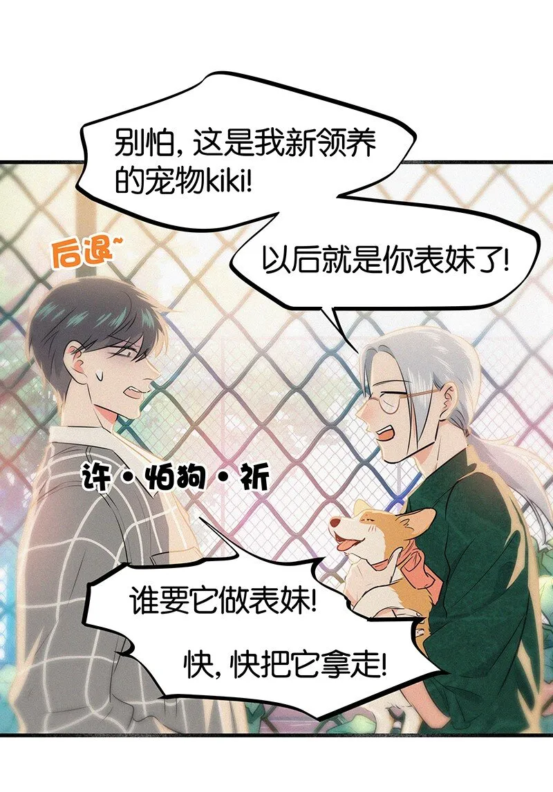 19 你忘了我经历了什么了吗？ 第13页