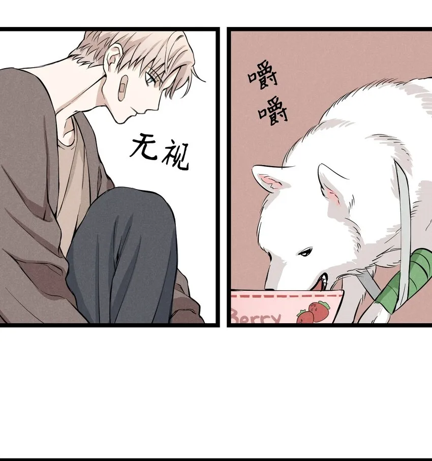 01 新来的保镖 第26页