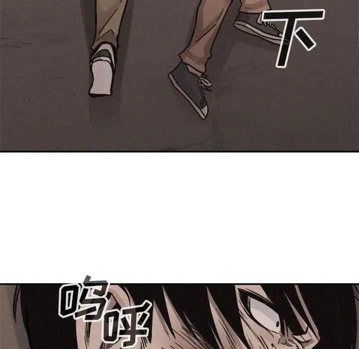 62 第55页