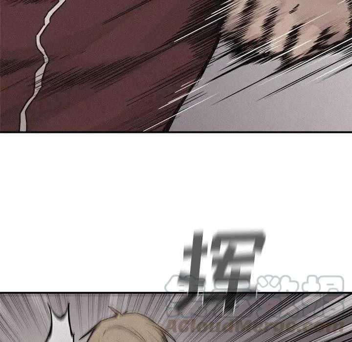 61 第17页