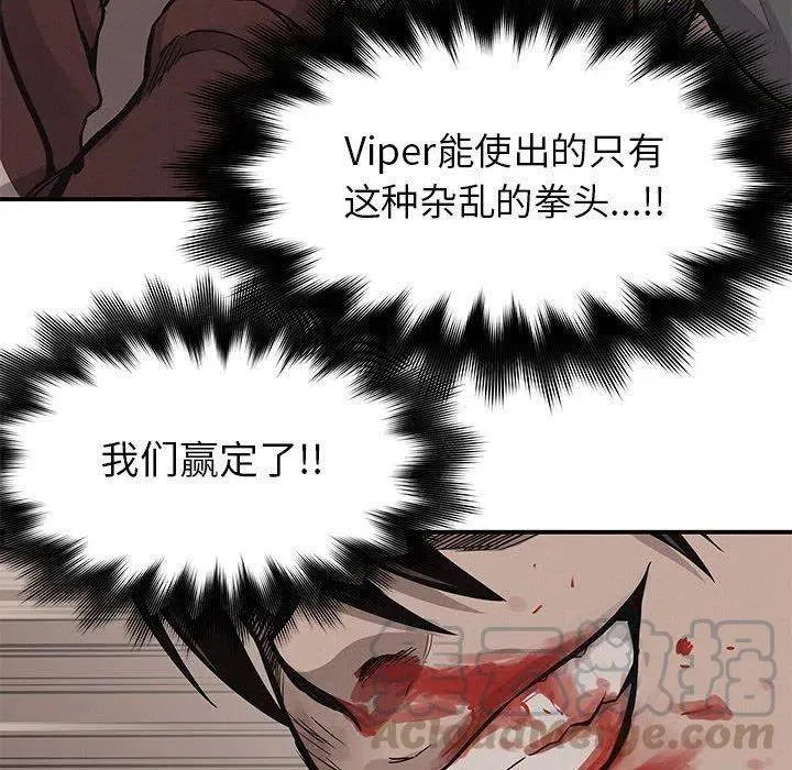 61 第81页