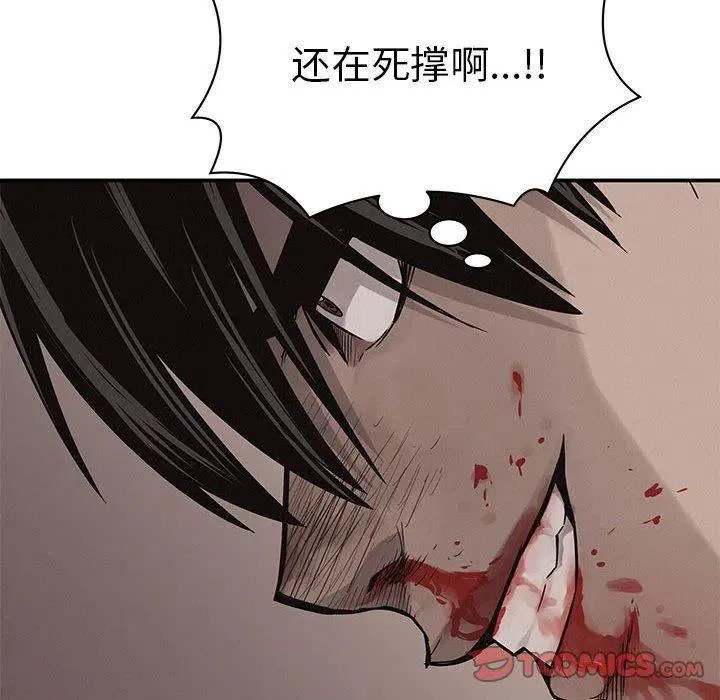 61 第86页
