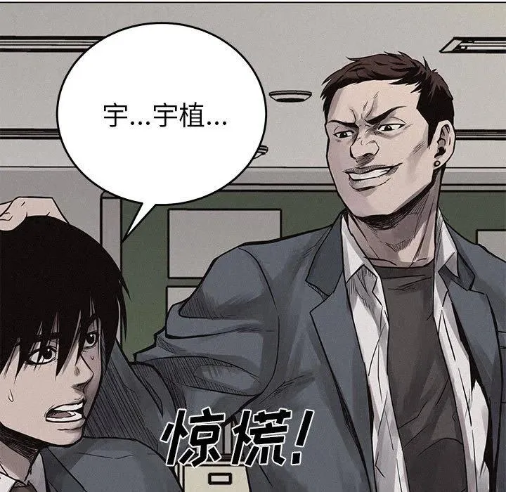 3 第31页