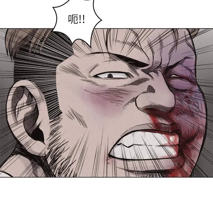 5 第55页