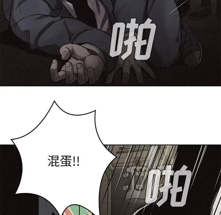 8 第42页