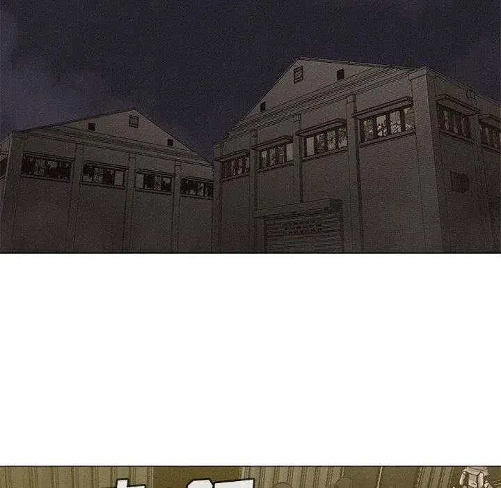 25 第24页