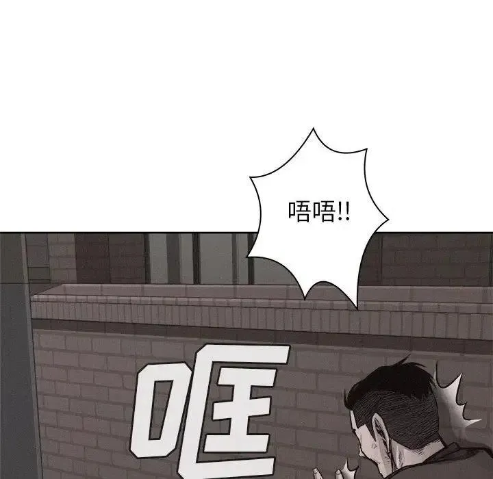 29 第41页