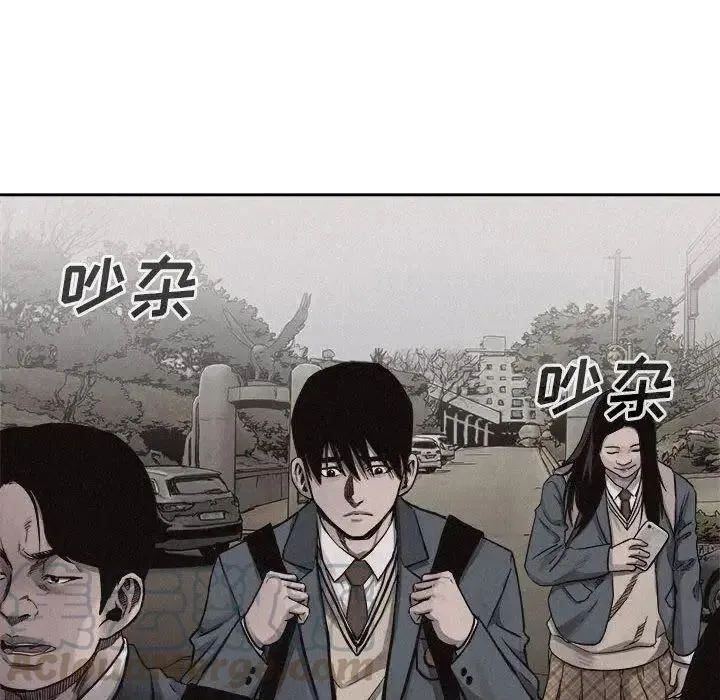 31 第43页