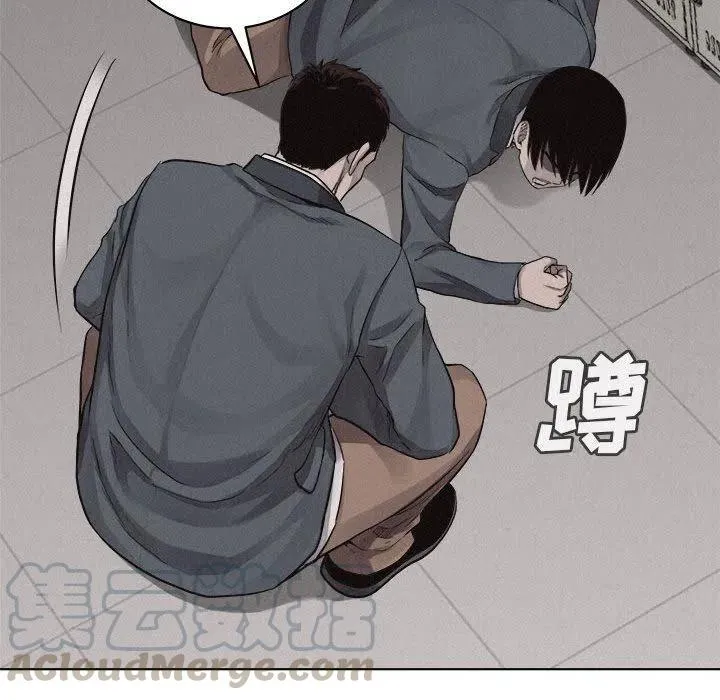 43 第43页