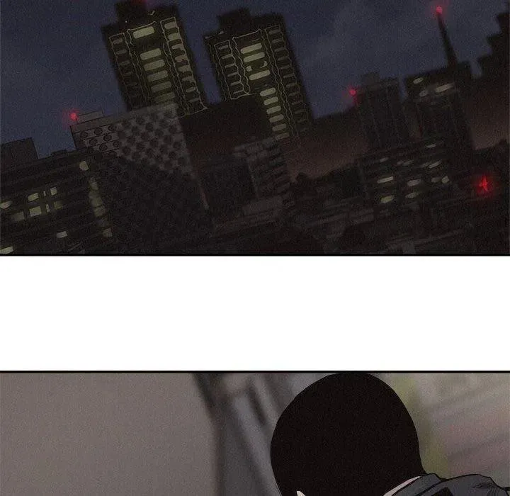 55 第65页