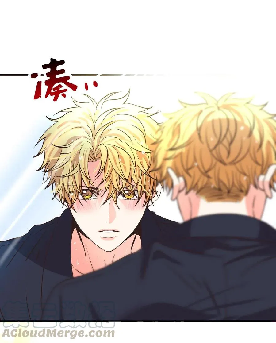15 出手 第9页