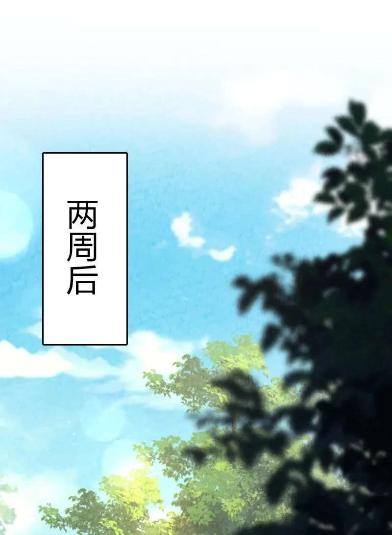 042 广域迷离域 第23页
