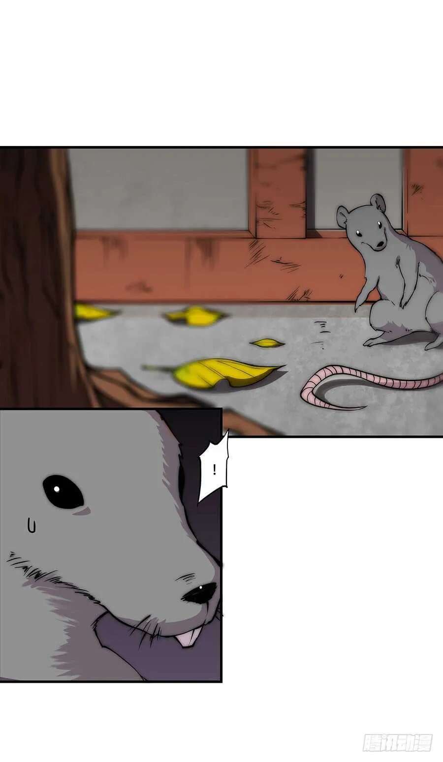 第78回 第14页