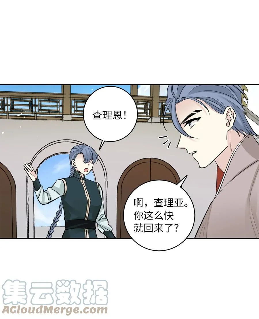 53 追踪 第13页