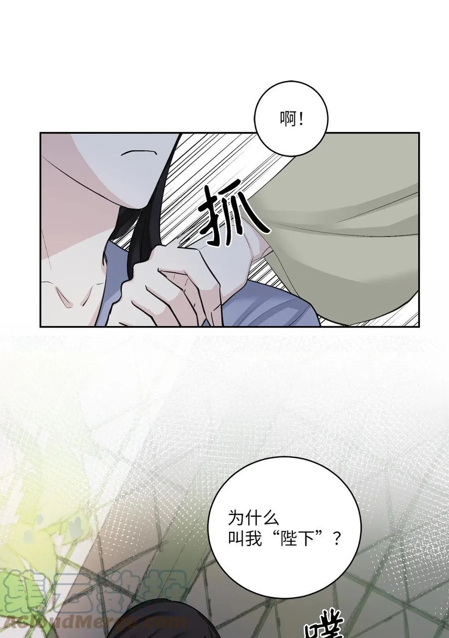 36 登基 第37页
