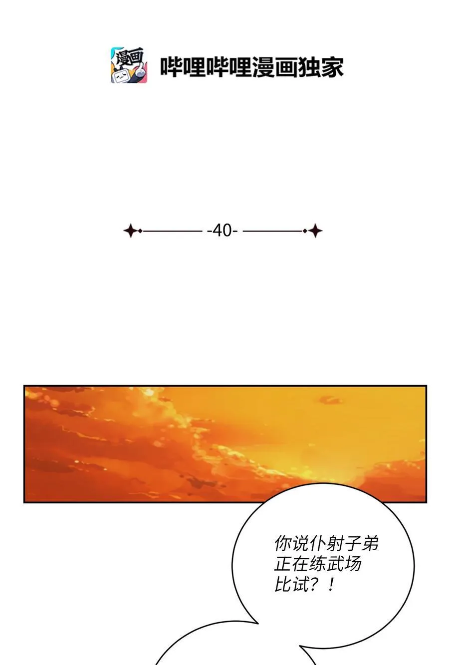 40 争端 第15页