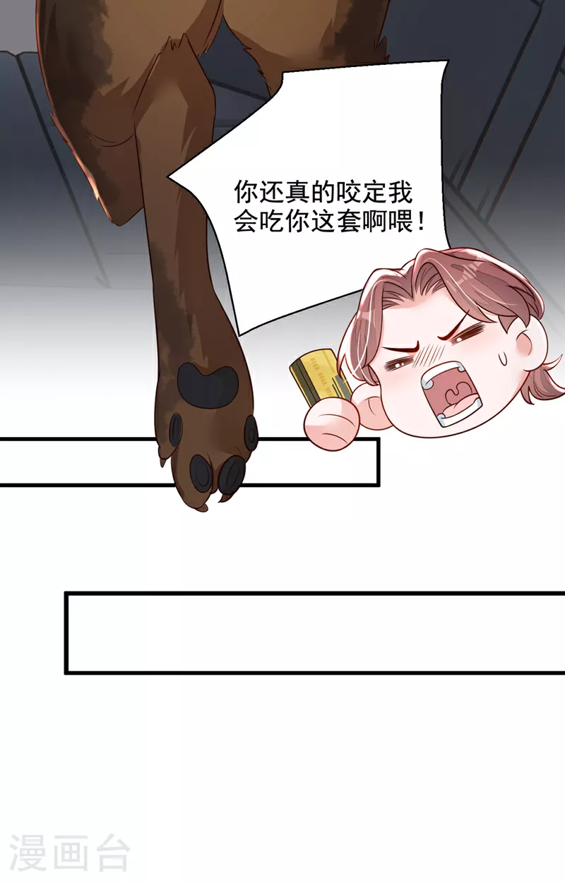 第165话 狗狗—— 第19页