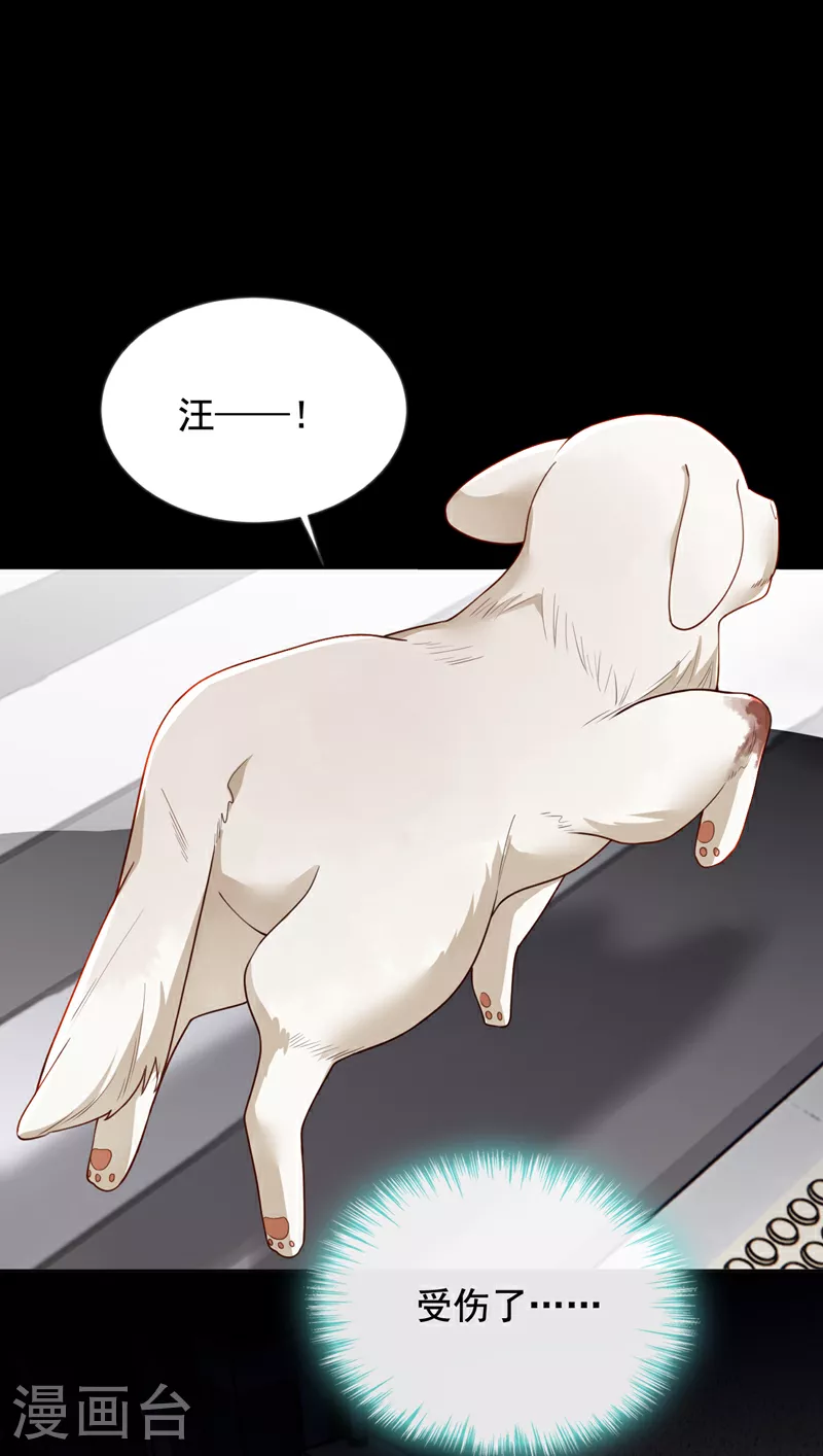 第165话 狗狗—— 第22页
