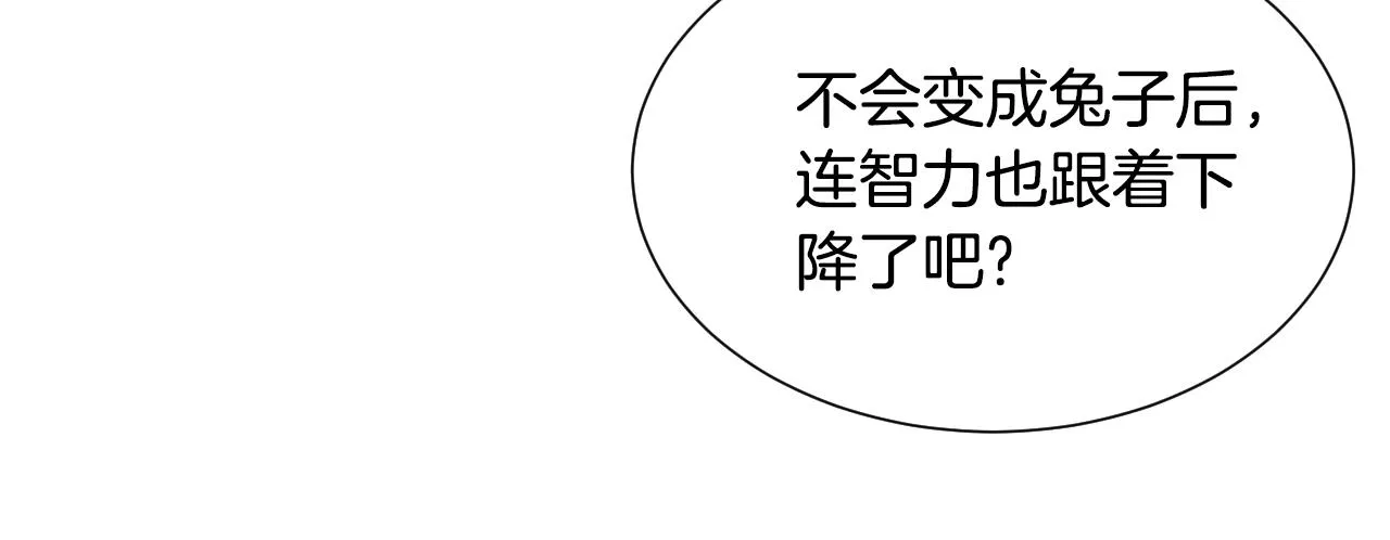 第7话 兔子再次飞踢 第16页