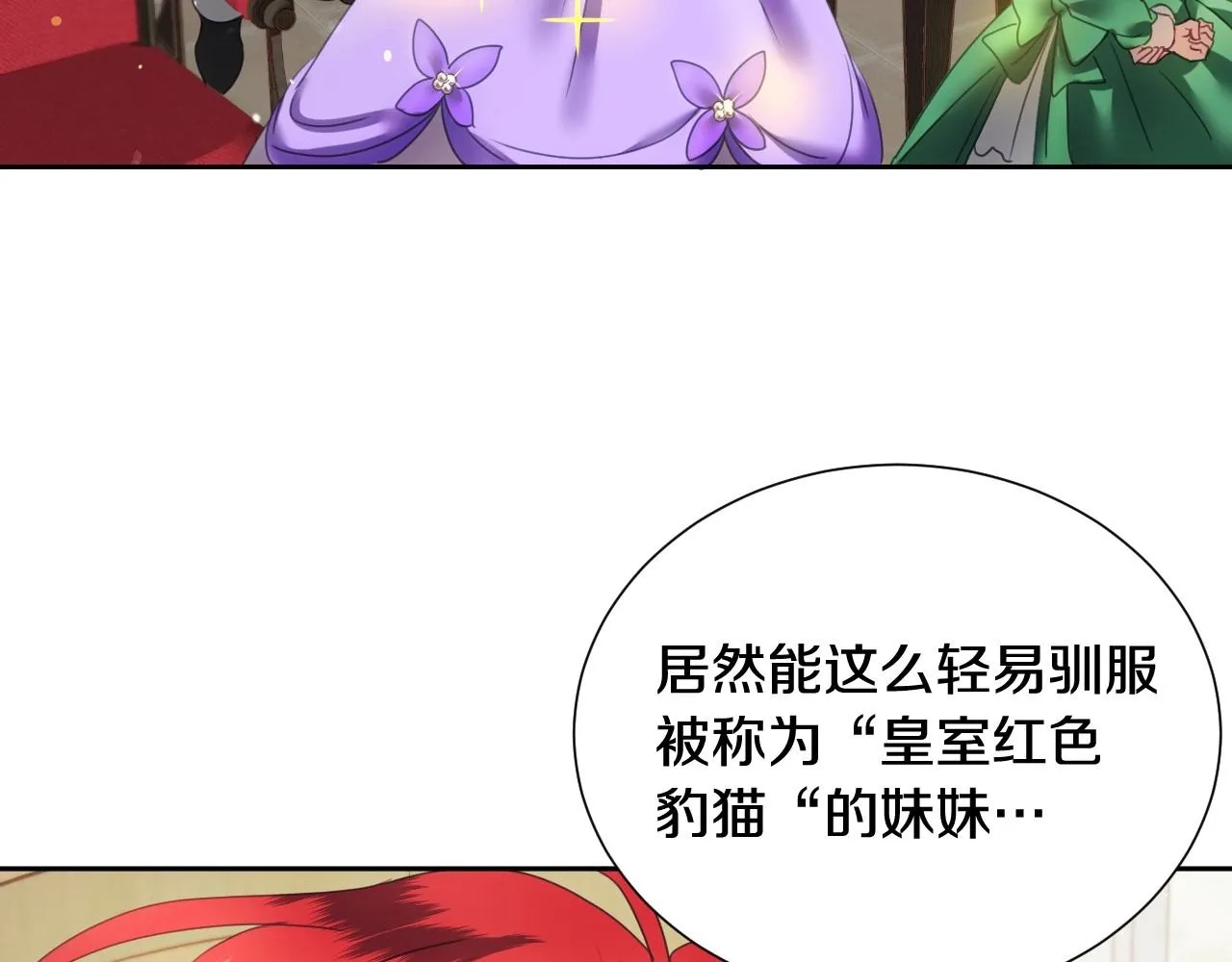 第6话 驯服豹猫小妹妹 第121页