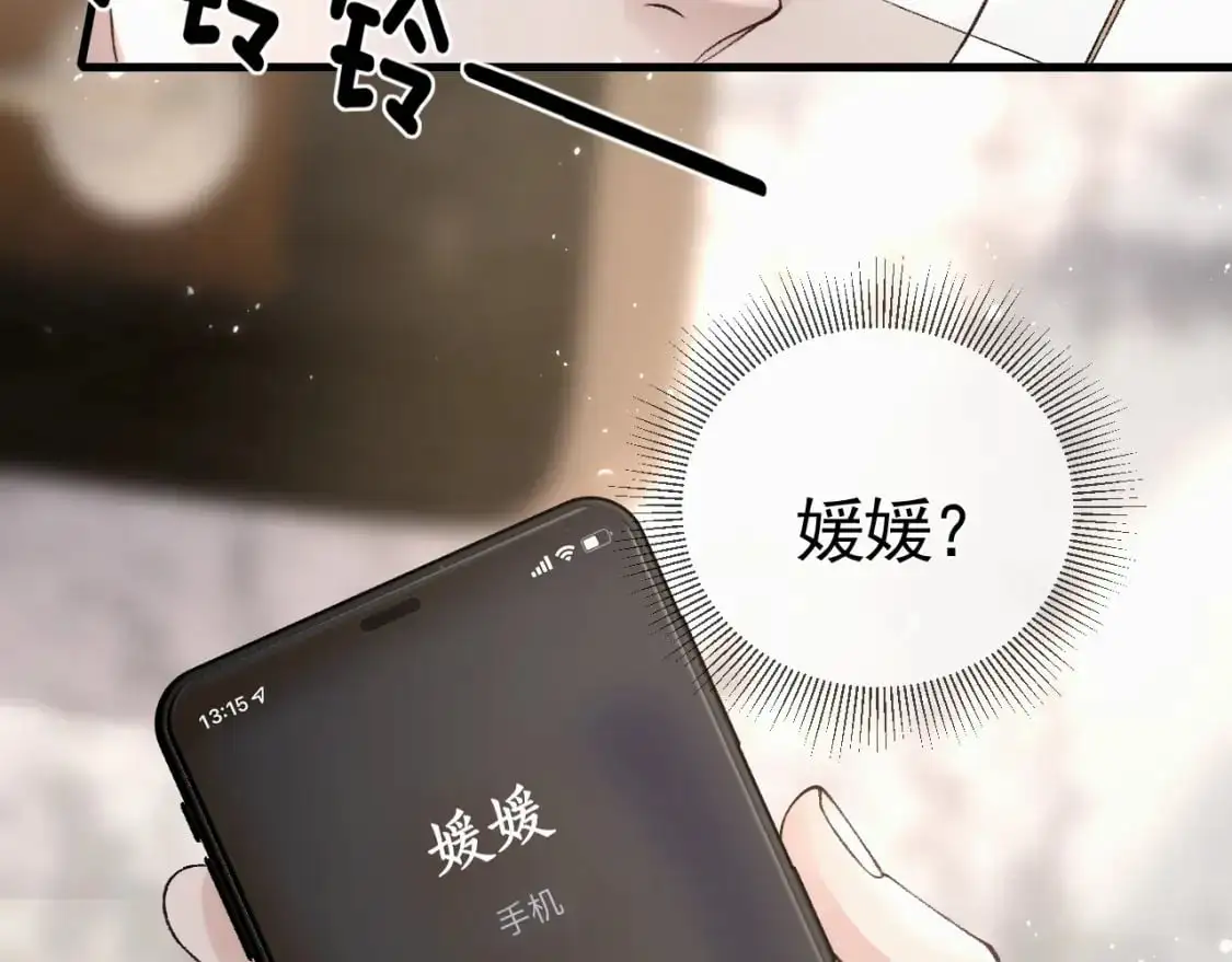 第33话 顾总电脑里的照片 第97页