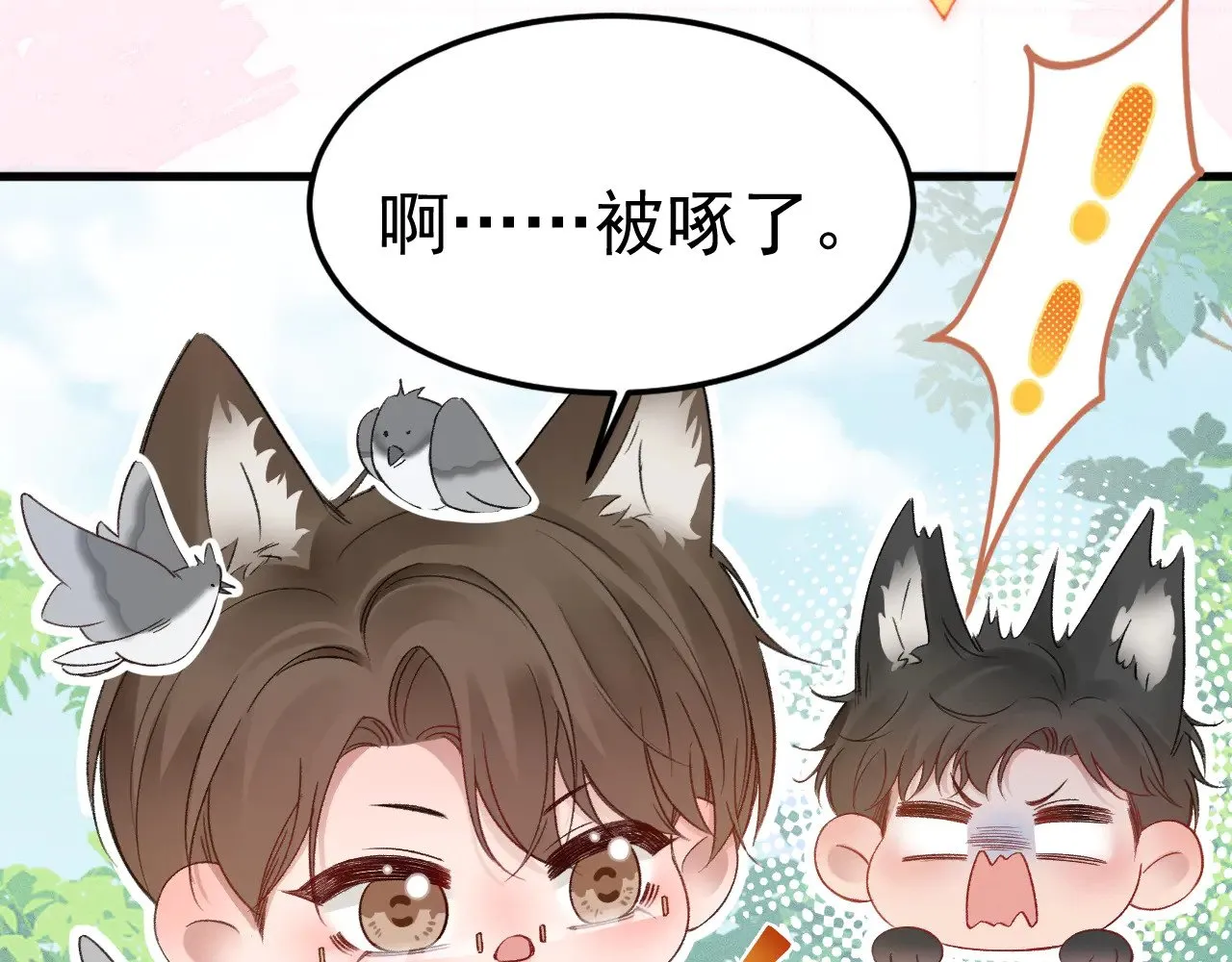 番外 兽耳时间 第8页