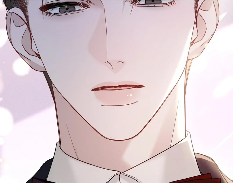 【美图合集-回顾】 第15页