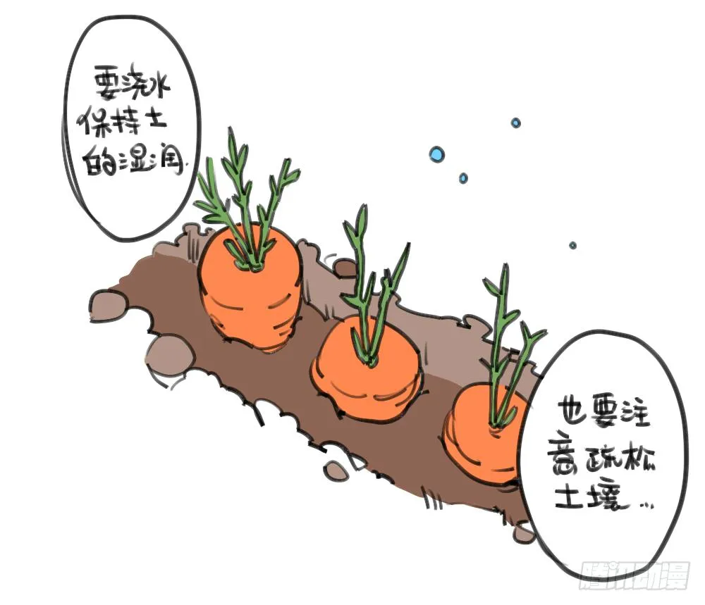 24、哇…本兔真是太惨了…太惨了 第5页