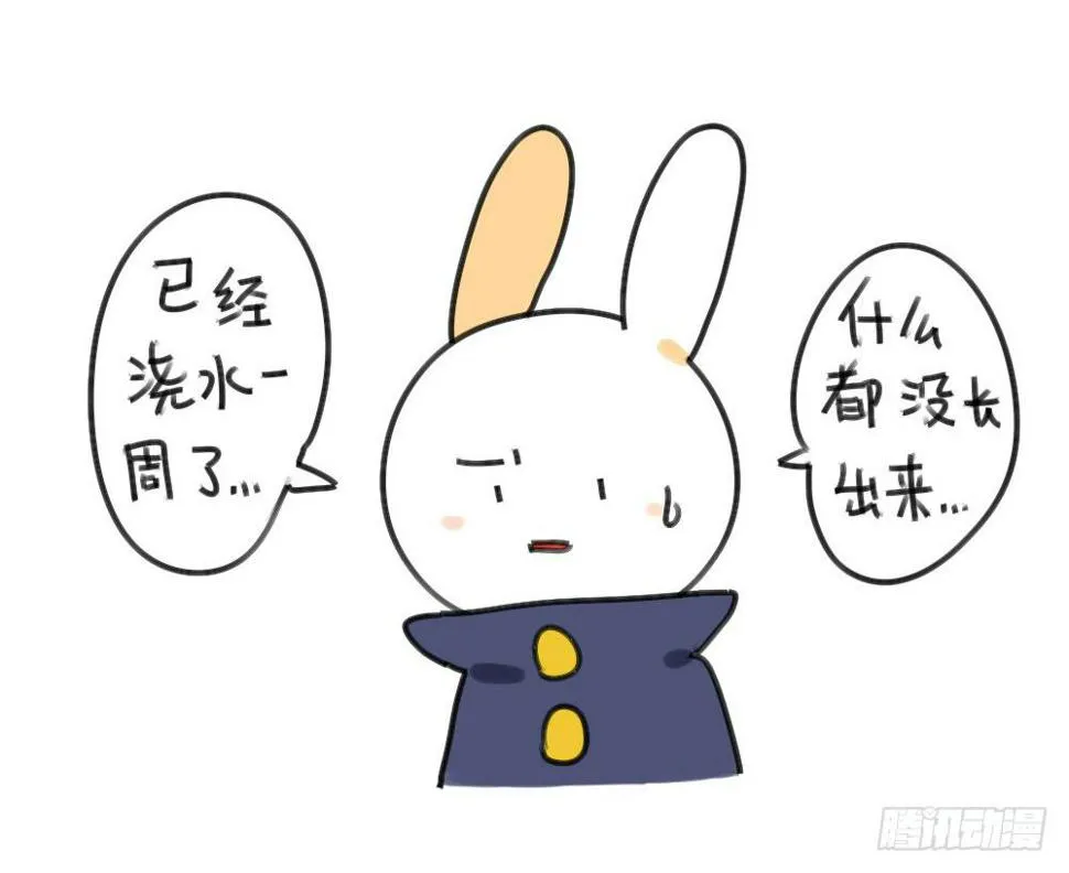 29、破耳，不按套路出牌的兔子 第3页