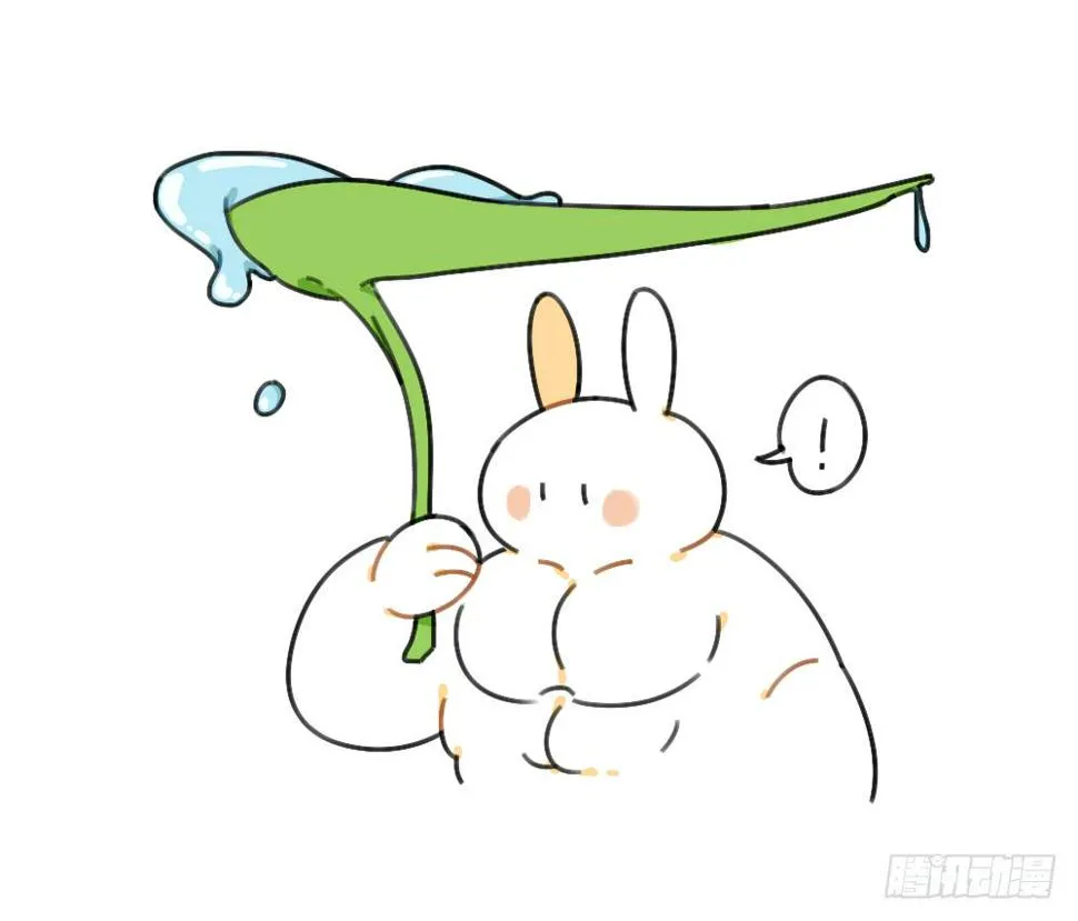 39、雨天不怕，我有花花，花花高 第4页
