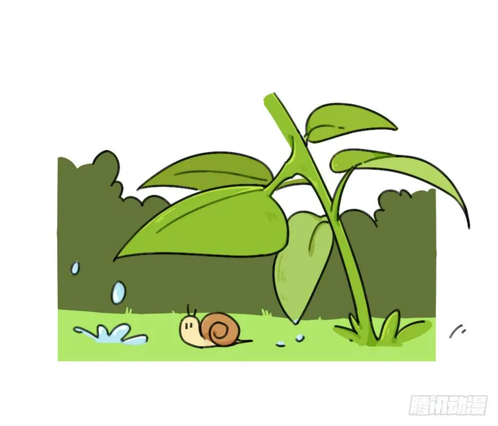 39、雨天不怕，我有花花，花花高 第7页