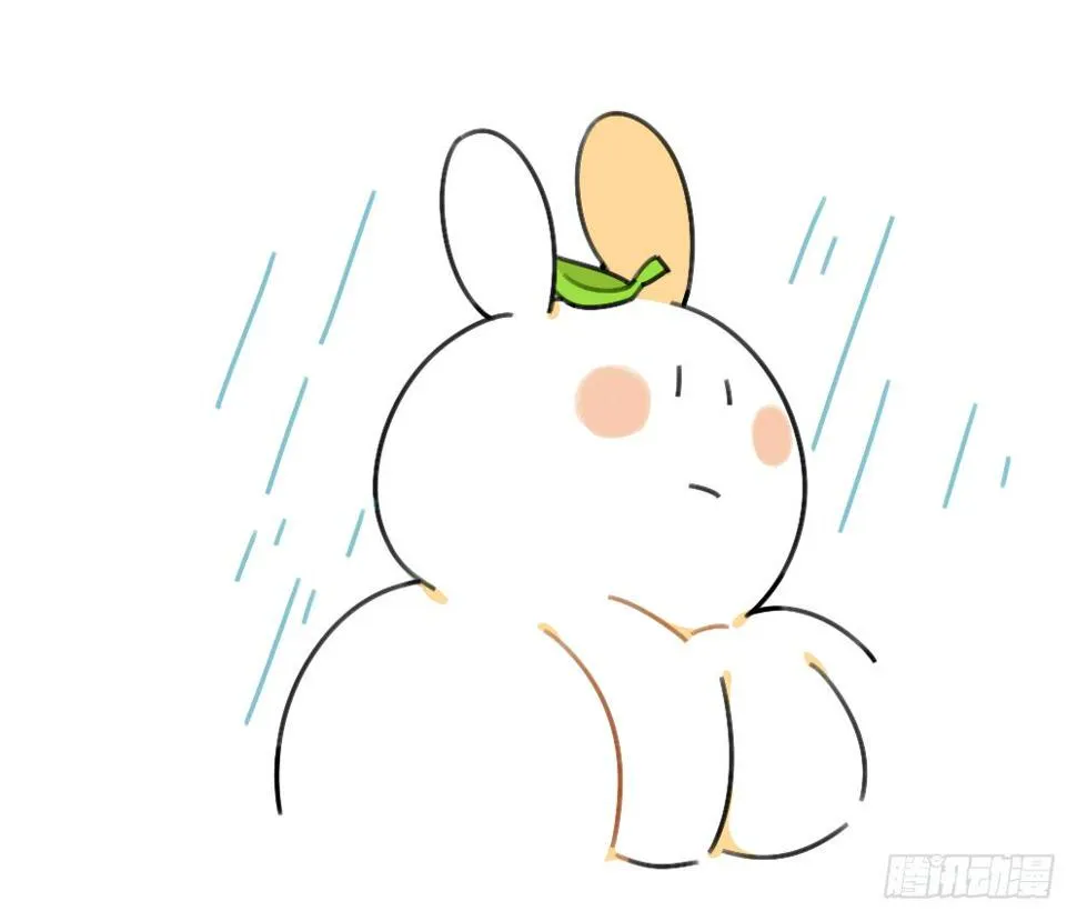 39、雨天不怕，我有花花，花花高 第9页