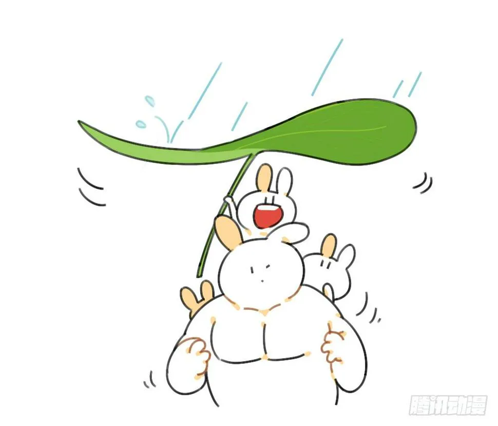 39、雨天不怕，我有花花，花花高 第13页